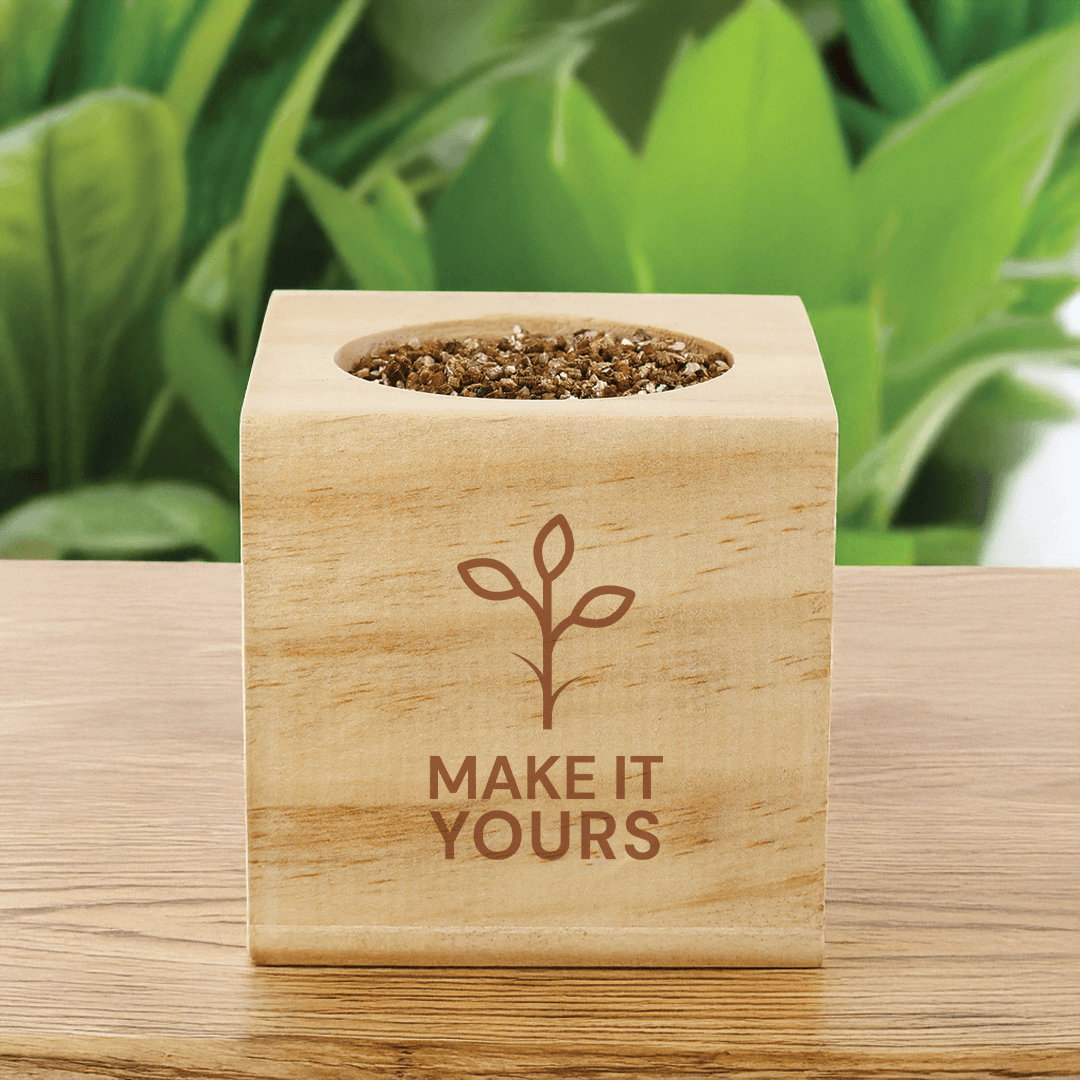 Basil Desktop Grow Kit - Main product view 1