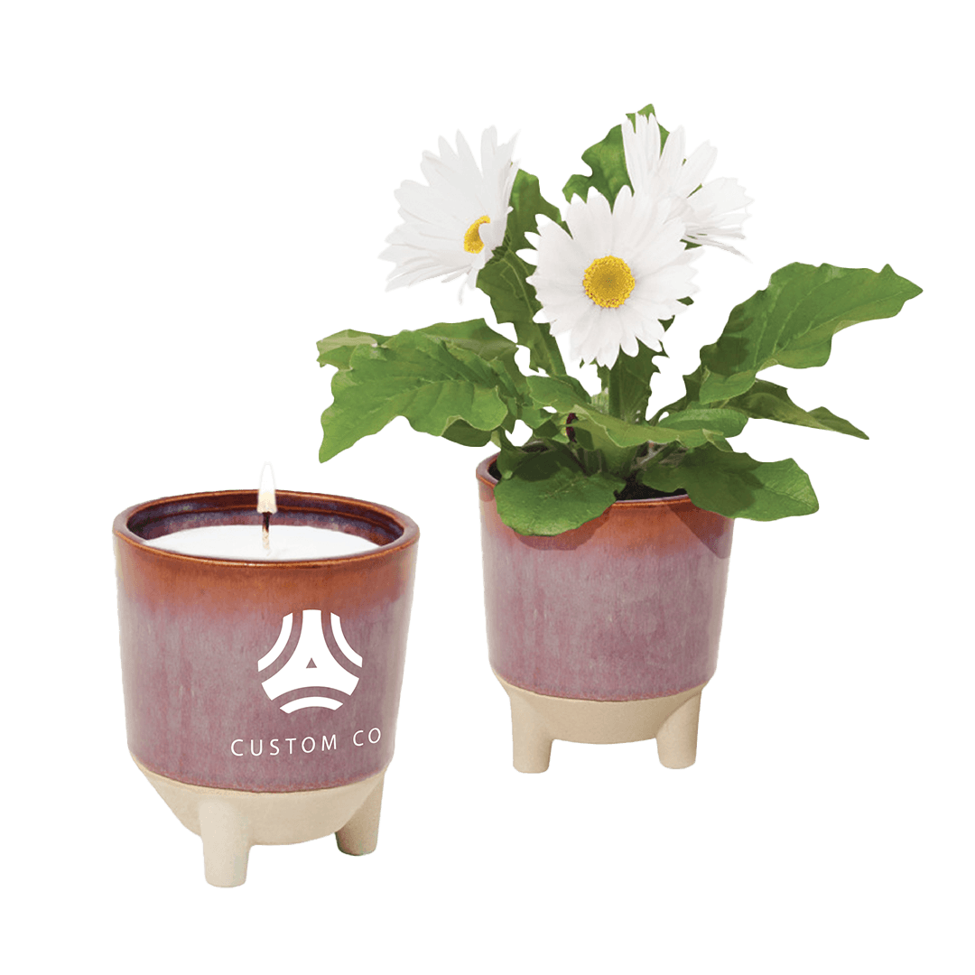 Modern Sprout® Ceramic 2-in-1 Candle 12 oz Daisy Seeds Grow Kit - Main product view 1