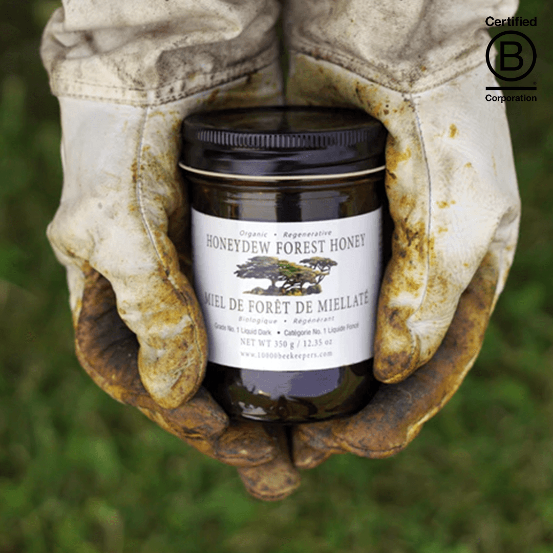 Honeydew Forest Honey - Main product view 1