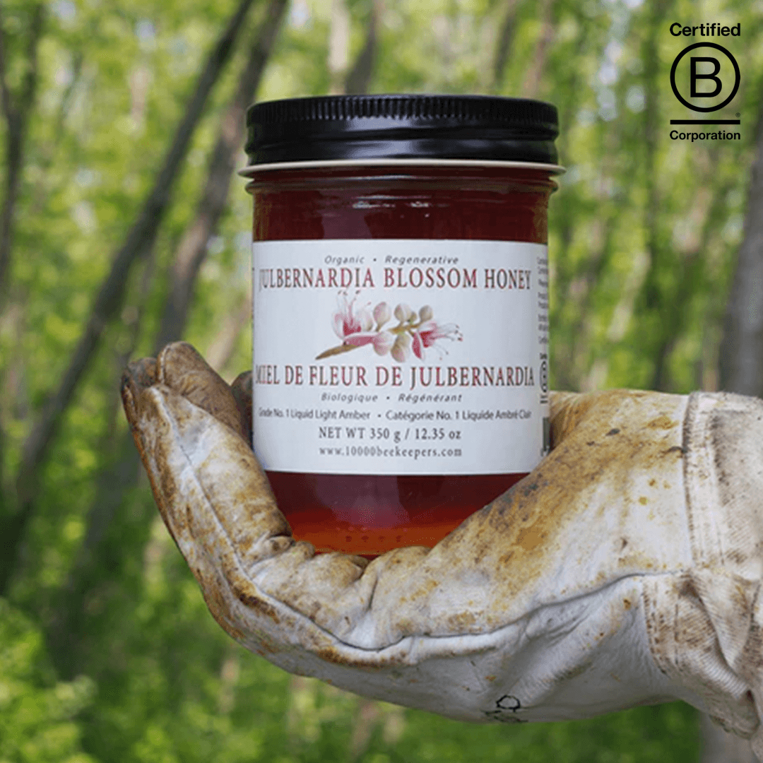 Julbernardia Blossom Honey - Main product view 1