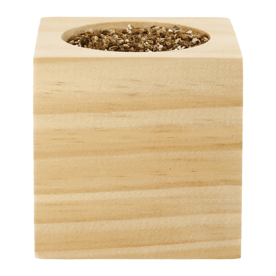 Cilantro Desktop Grow Kit product image 2