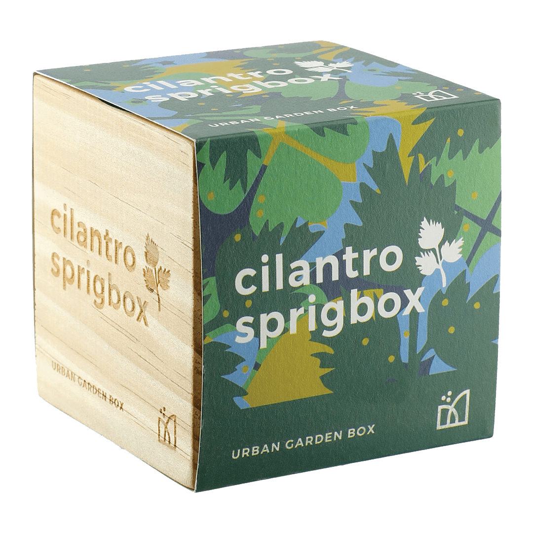 Cilantro Desktop Grow Kit product image 3