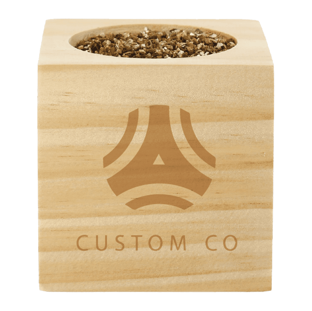 Cilantro Desktop Grow Kit - Main product view 1
