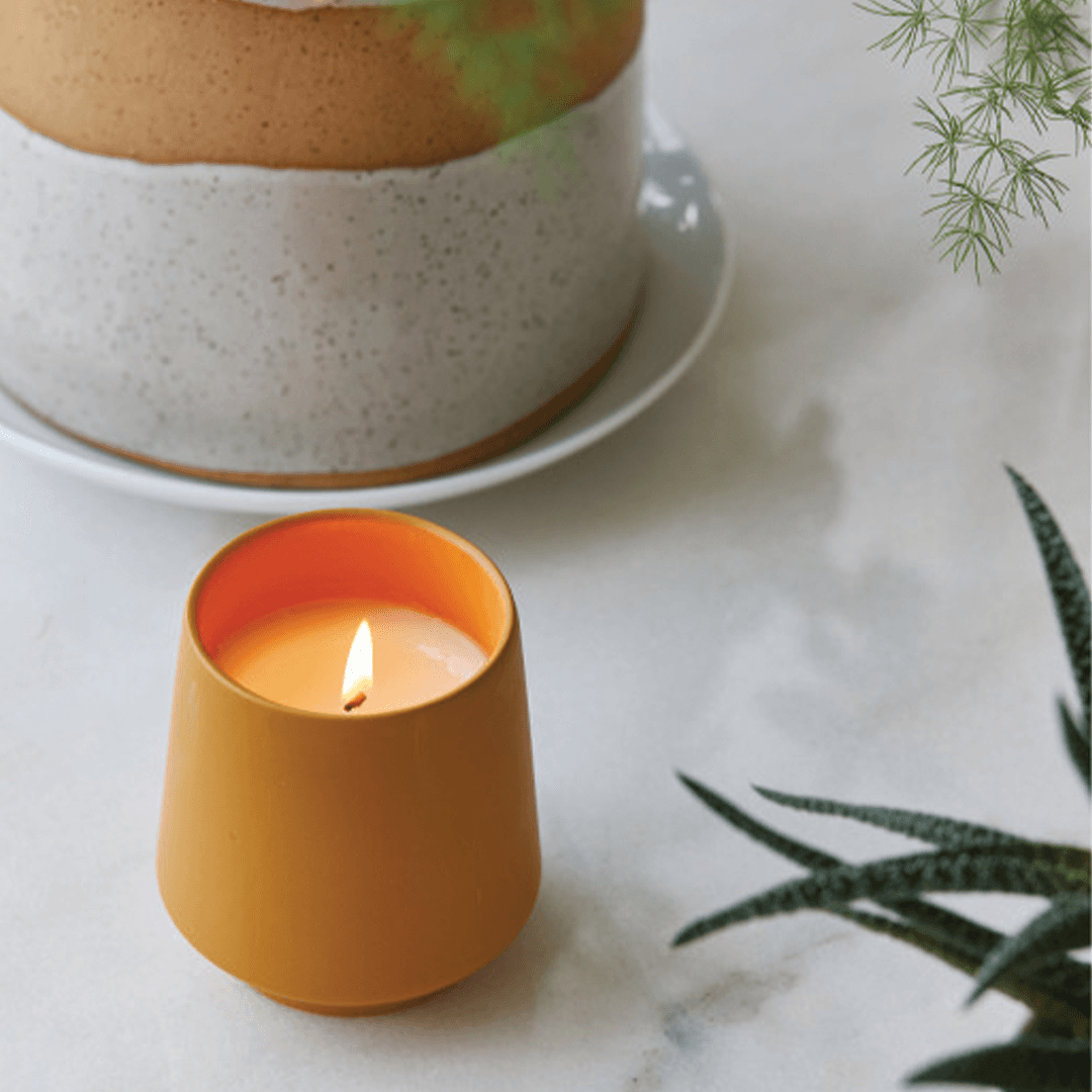 Modern Sprout® Rooted Candle - Lavender - Main product view 1