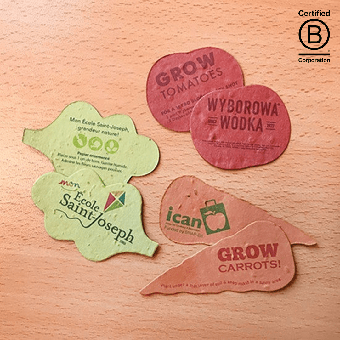Veggie Seed Paper Shapes product image