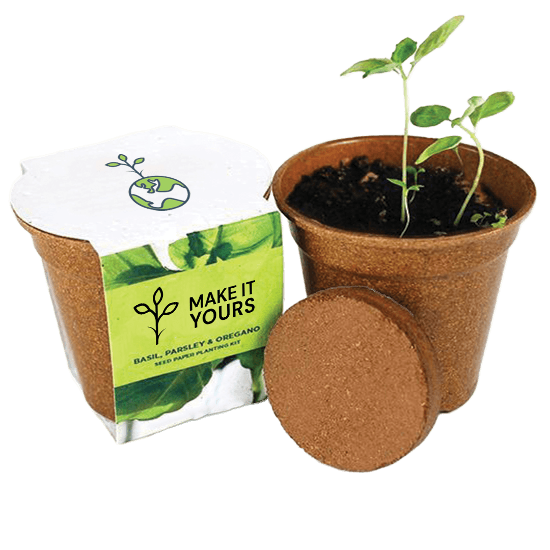 Herb Seed Paper Sprouter Kit product image 2