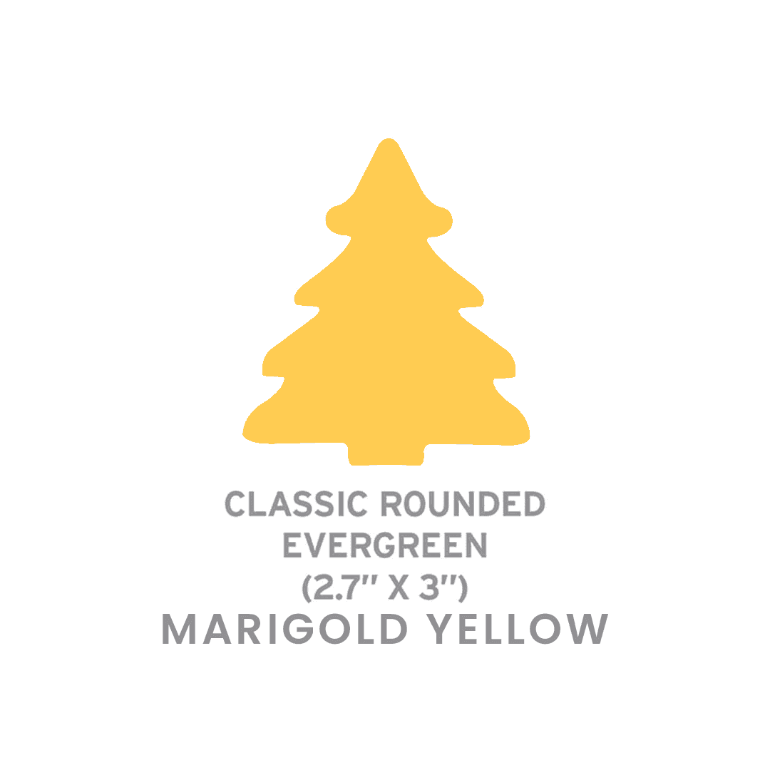 Large Seed Paper Shapes 2 Side Imprint - Classic Evergreen - Main product view 1