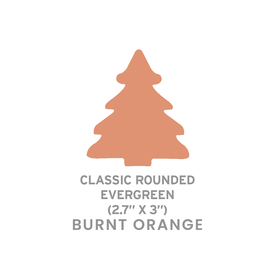 Large Seed Paper Shapes 2 Side Imprint - Classic Evergreen product image