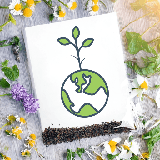 Wildflower Seed Packet 1-Sided - Main product view 1