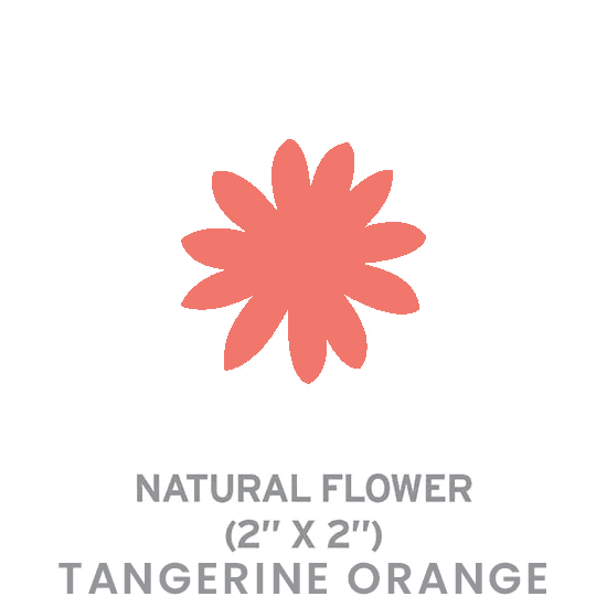 Small Seed Paper Shapes 1-Sided - Flower - Main product view 1