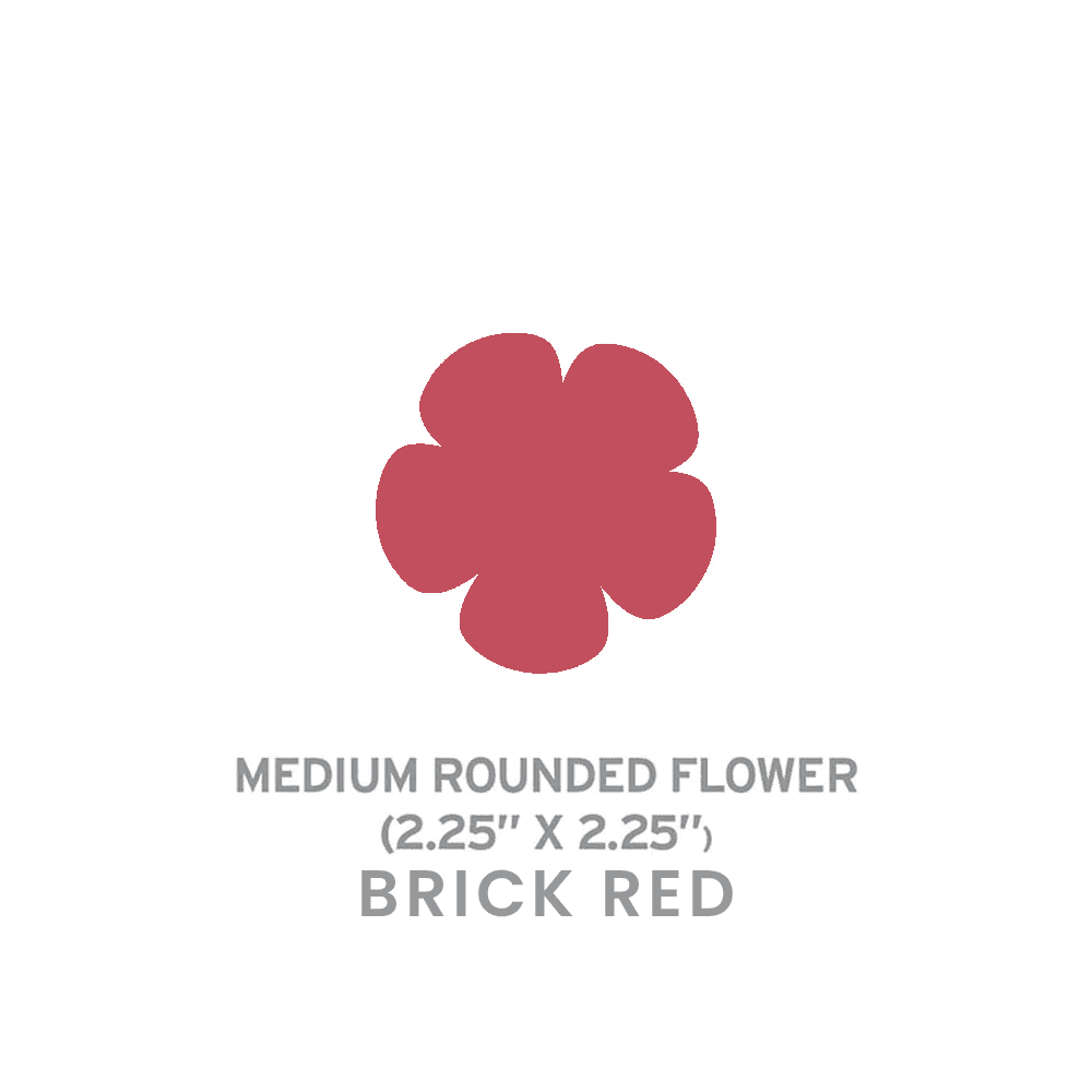 Medium Seed Paper Shapes - One Sided