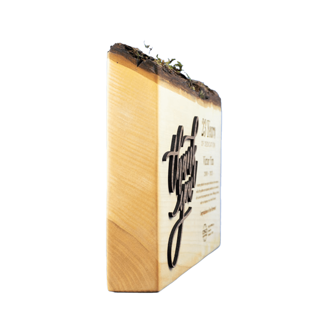 Salvaged Live Edge Maple Gratitude Award product image 4
