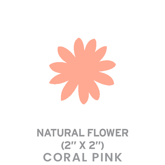 Small Seed Paper Shapes 2-Sided - Flower - Main product view 1